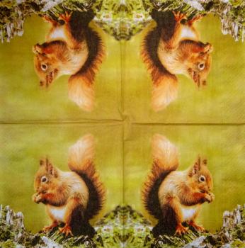 020 Eichhörnchen - 3-ply - Ambiente